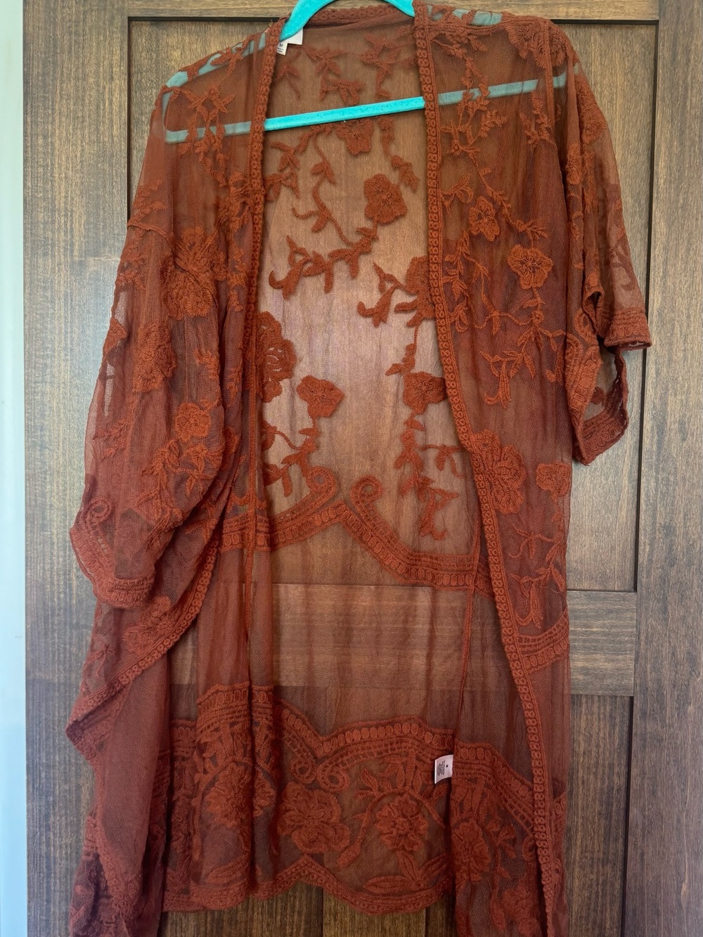 Dizzy Burnt Orange Sheer Embroidered Cover-Up